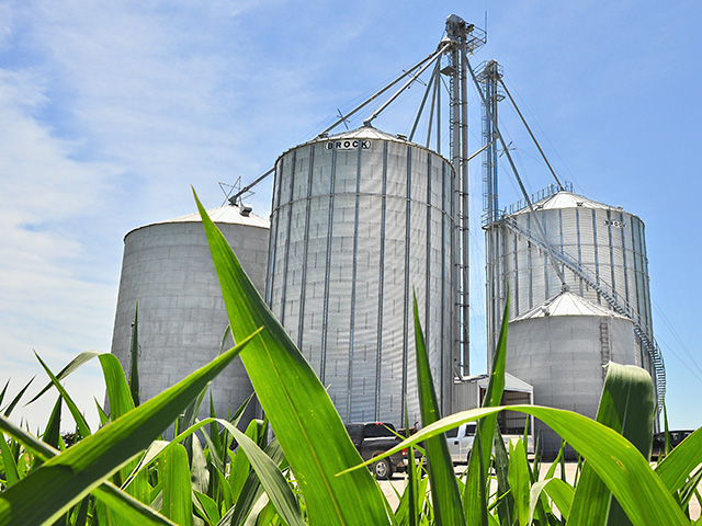 The most important aspect of grain storage is to keep it clean. (Progressive Farmer photo by Katie Dehlinger)